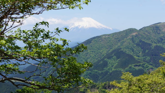 富士山と雑記ブログ