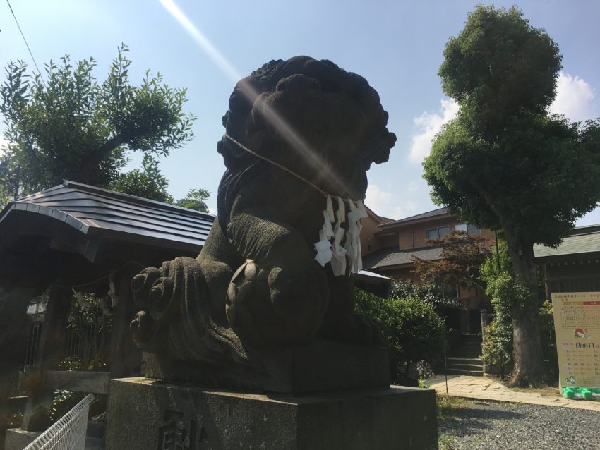 鳩ヶ谷氷川神社 狛犬
